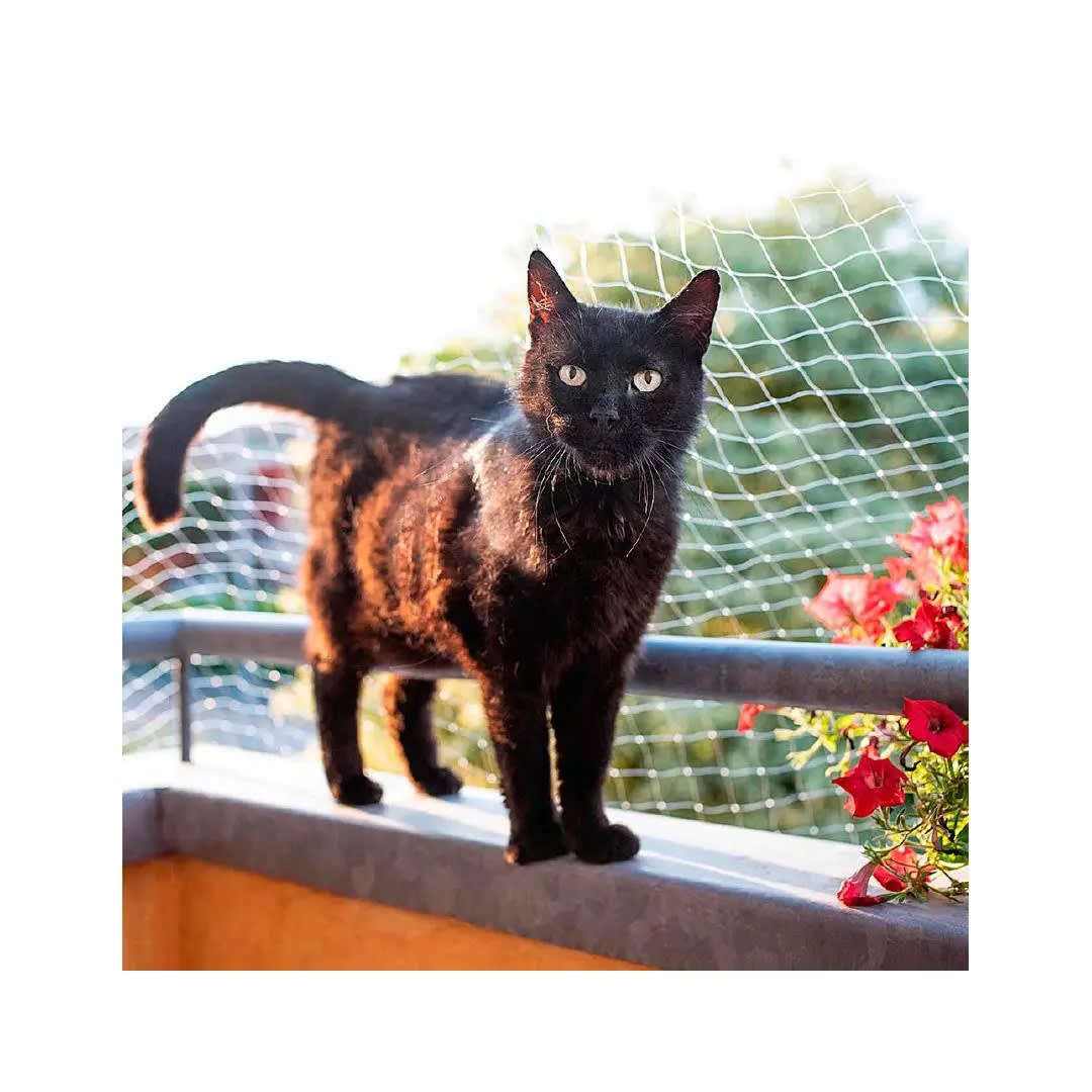 Fp Red P/Ventanas, Cat Net M, 400X300H cm2