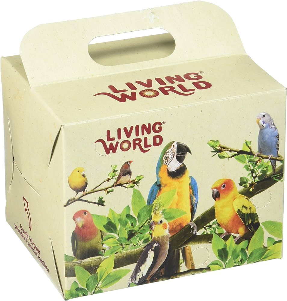 LIVING WORLD CAJA CARTON VENTA 28X15X18CM1