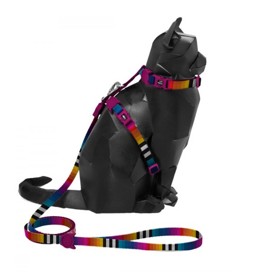 PRISMA HARNESS + LEASH SET1
