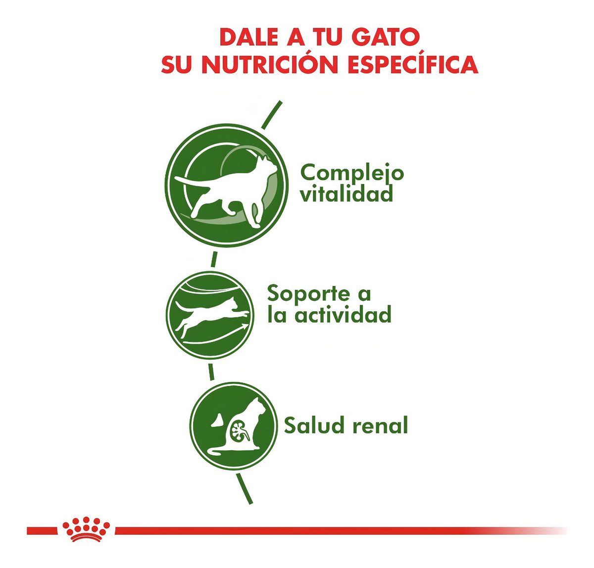 ROYAL CANIN ACTIVE 7+ GATO 1.5 KG2