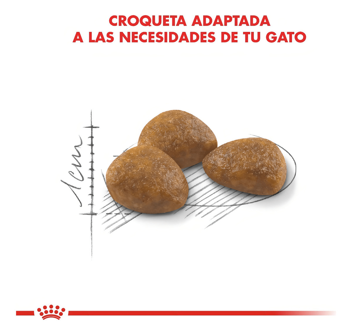 ROYAL CANIN ACTIVE 7+ GATO 1.5 KG3