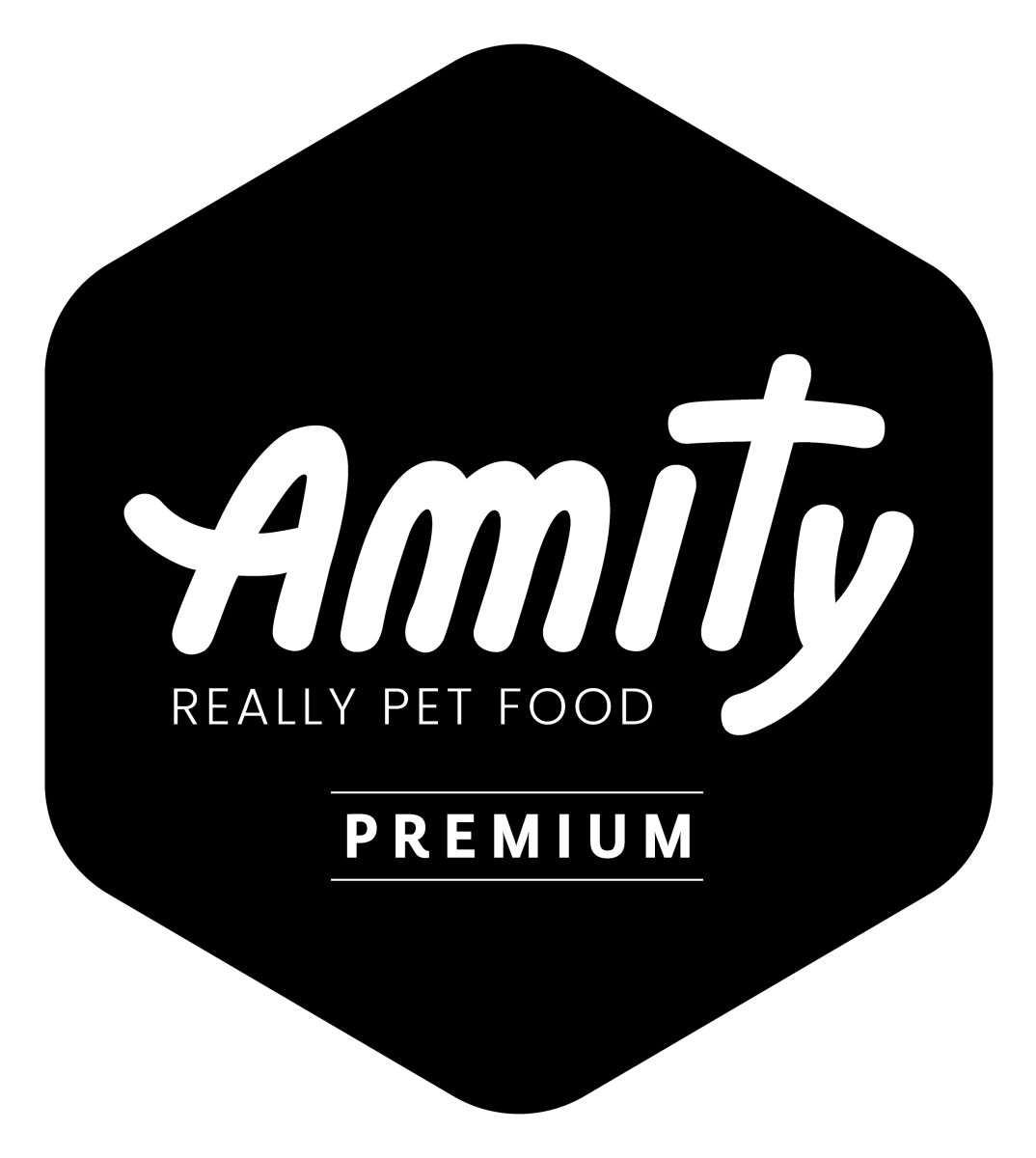 AMITY PREMIUM GATO ADULTO SALMÓN & ARROZ 1.5 KG2