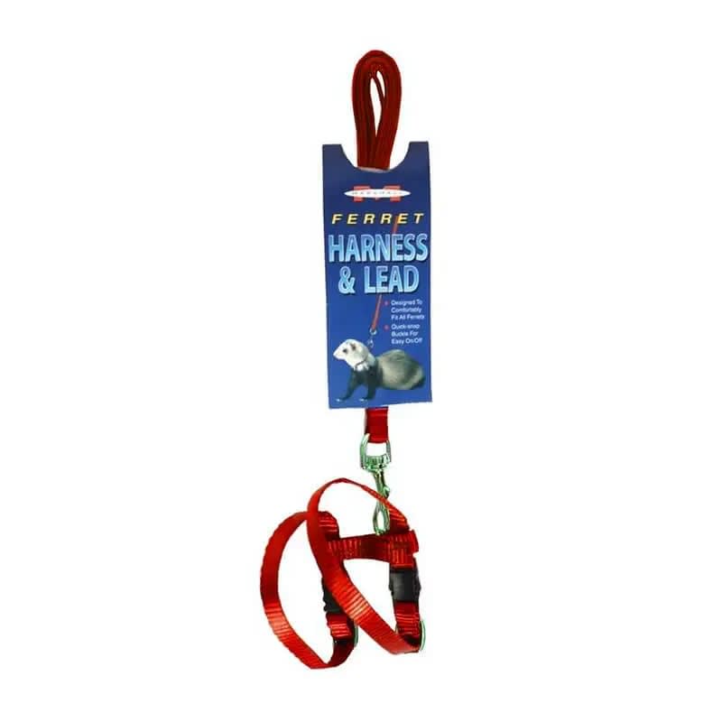 ARNES CON CORREA HURON ROJO1
