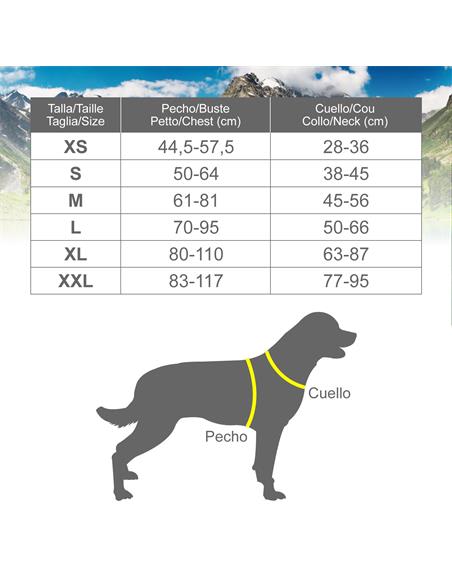ARNES X-TREME - TALLA L (70/65-90 CM)2