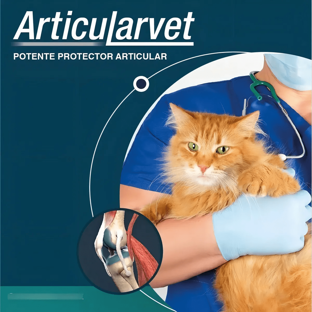 ARTICULARVET 30 COMPRIMIDOS4