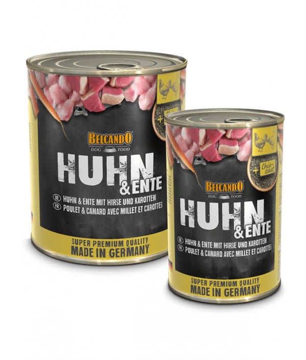 BELCANDO POLLO CON PATO MIJO Y ZANAHORIAS1