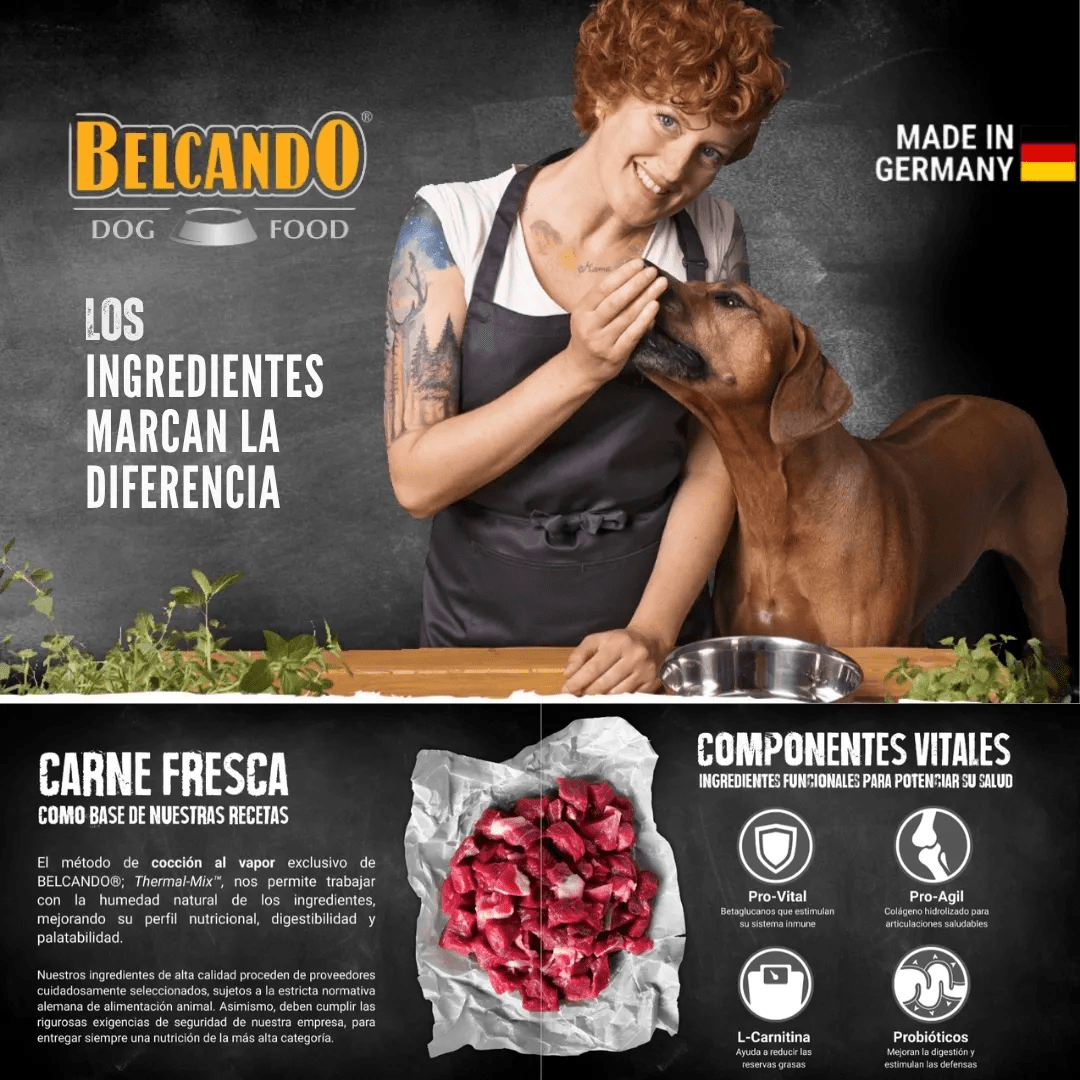 BELCANDO PERRO SENIOR SENSITIVE4