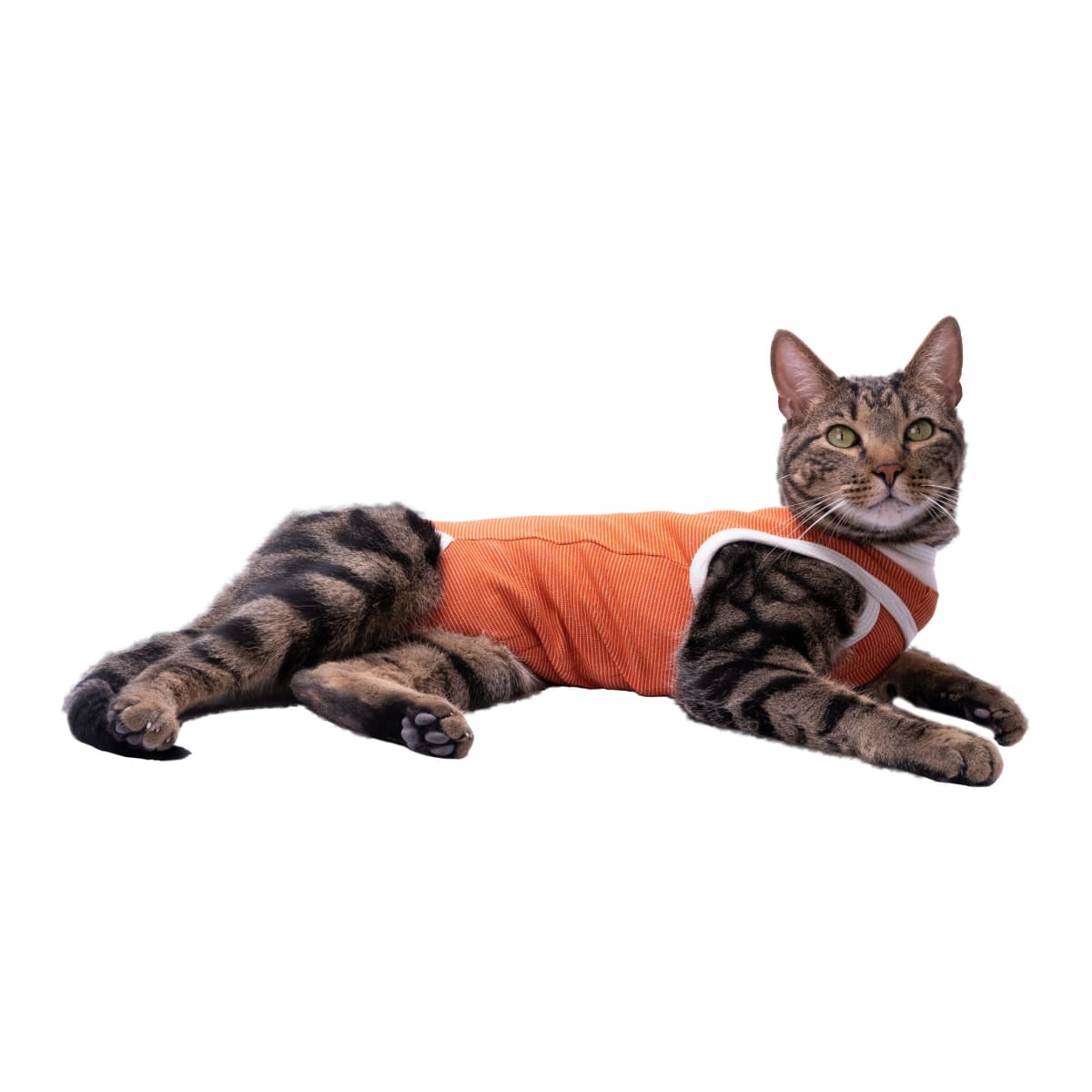 VET BODY COBRE TRADICIONAL TALLA 142