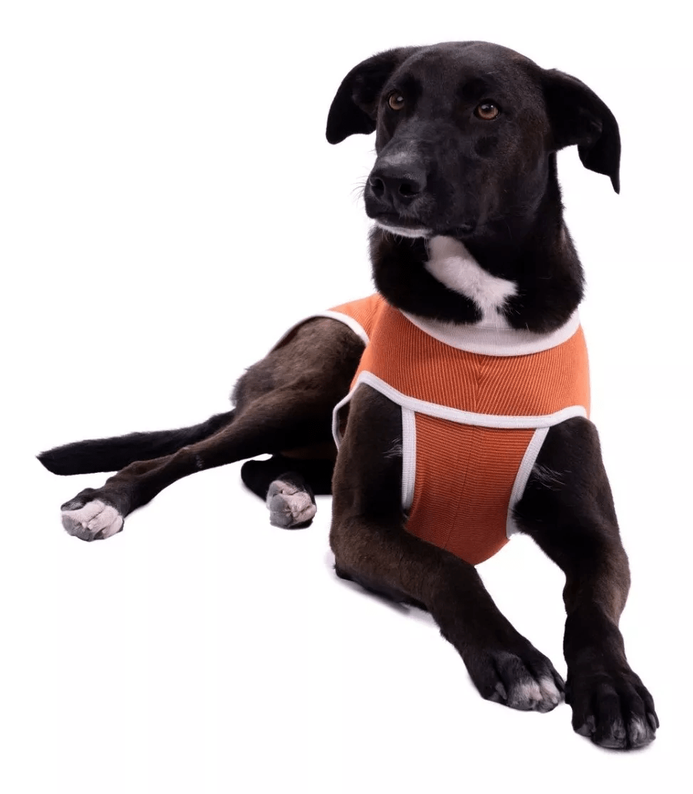 VET BODY COBRE TRADICIONAL TALLA 133