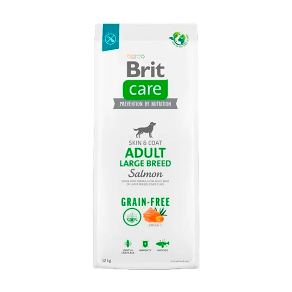 BRIT CARE GF GIANT SALMON 1.0 kg1