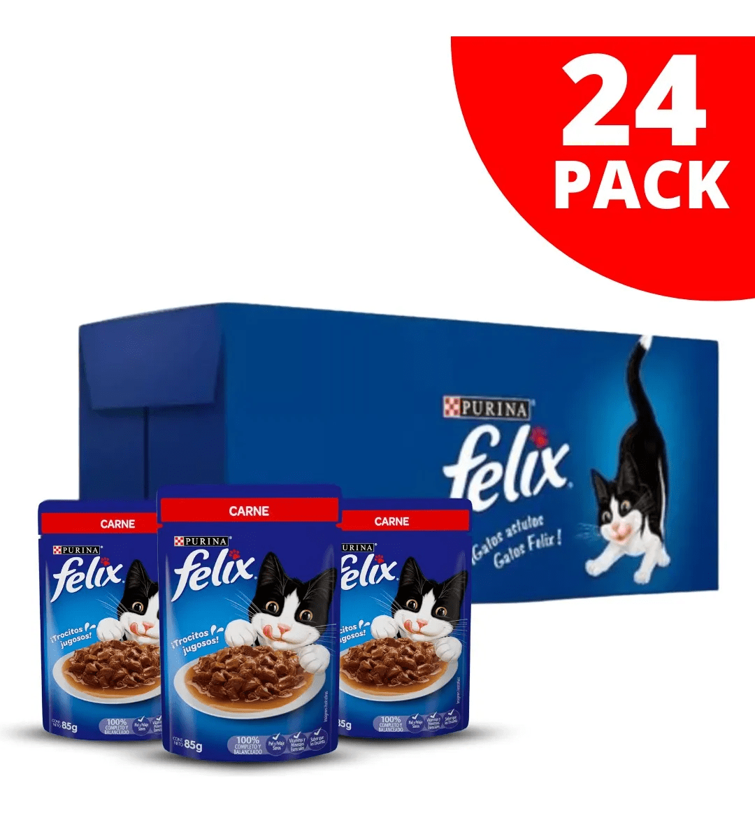 CAJA SACHET FELIX CARNE 85 GR X 24 UN1