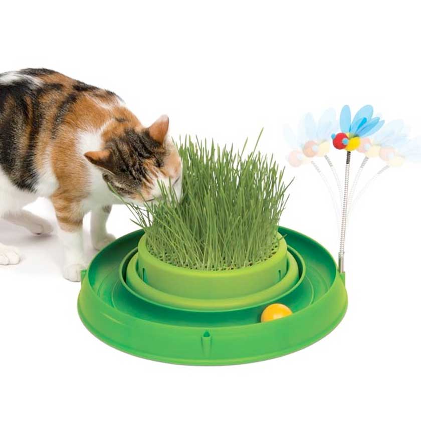 CATIT PLAY CIRCUITO 3 EN 1 CON PASTO1