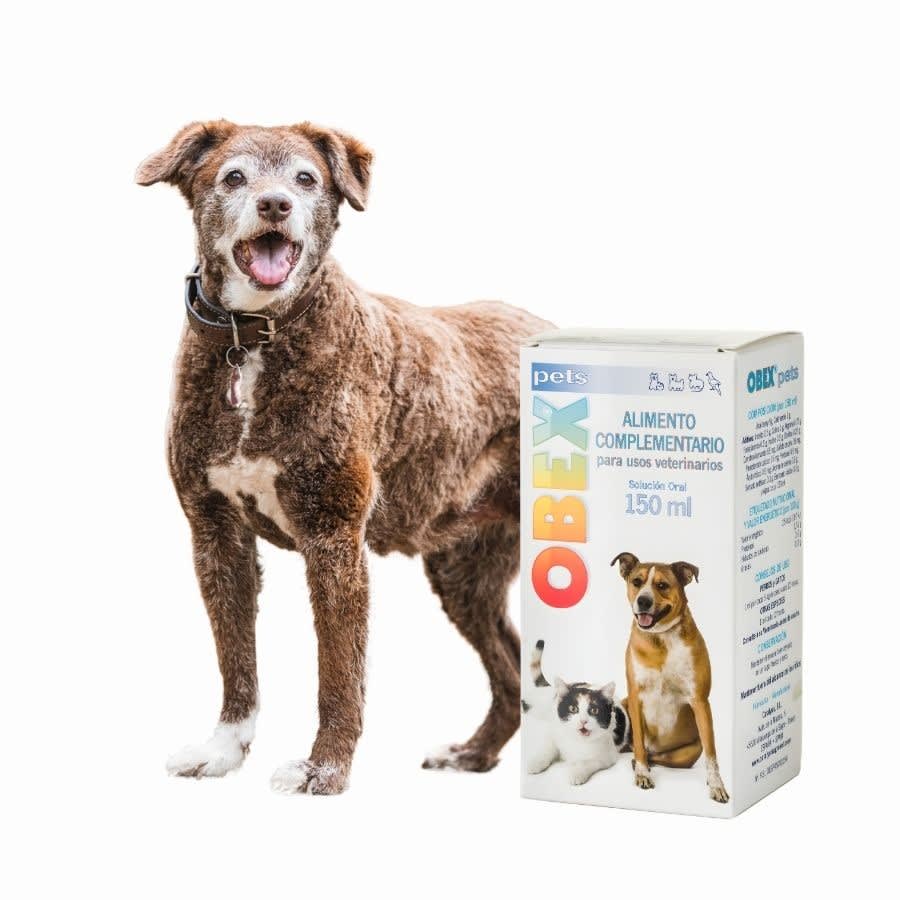 OBEX PETS SOLUCIÓN ORAL 150 ML2