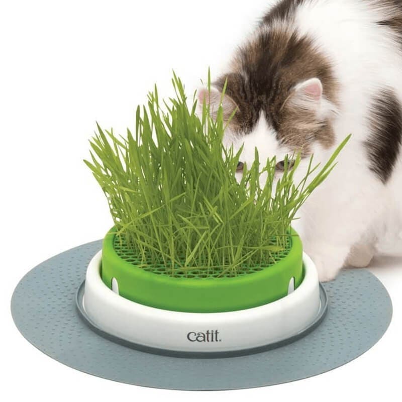 CATIT SENSES 2.0 GERMINADOR DE PASTO2