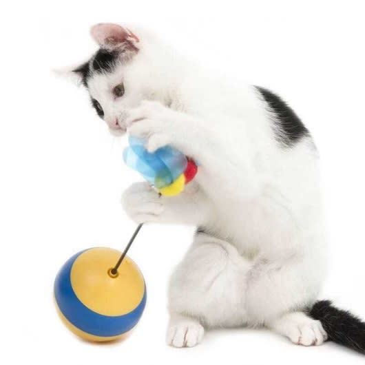 CATIT PLAY TUMBLER BEE2