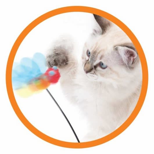 CATIT PLAY TUMBLER BEE3