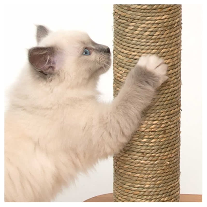 CATIT VESPER CAT FURNITURE V BASE NOGAL3