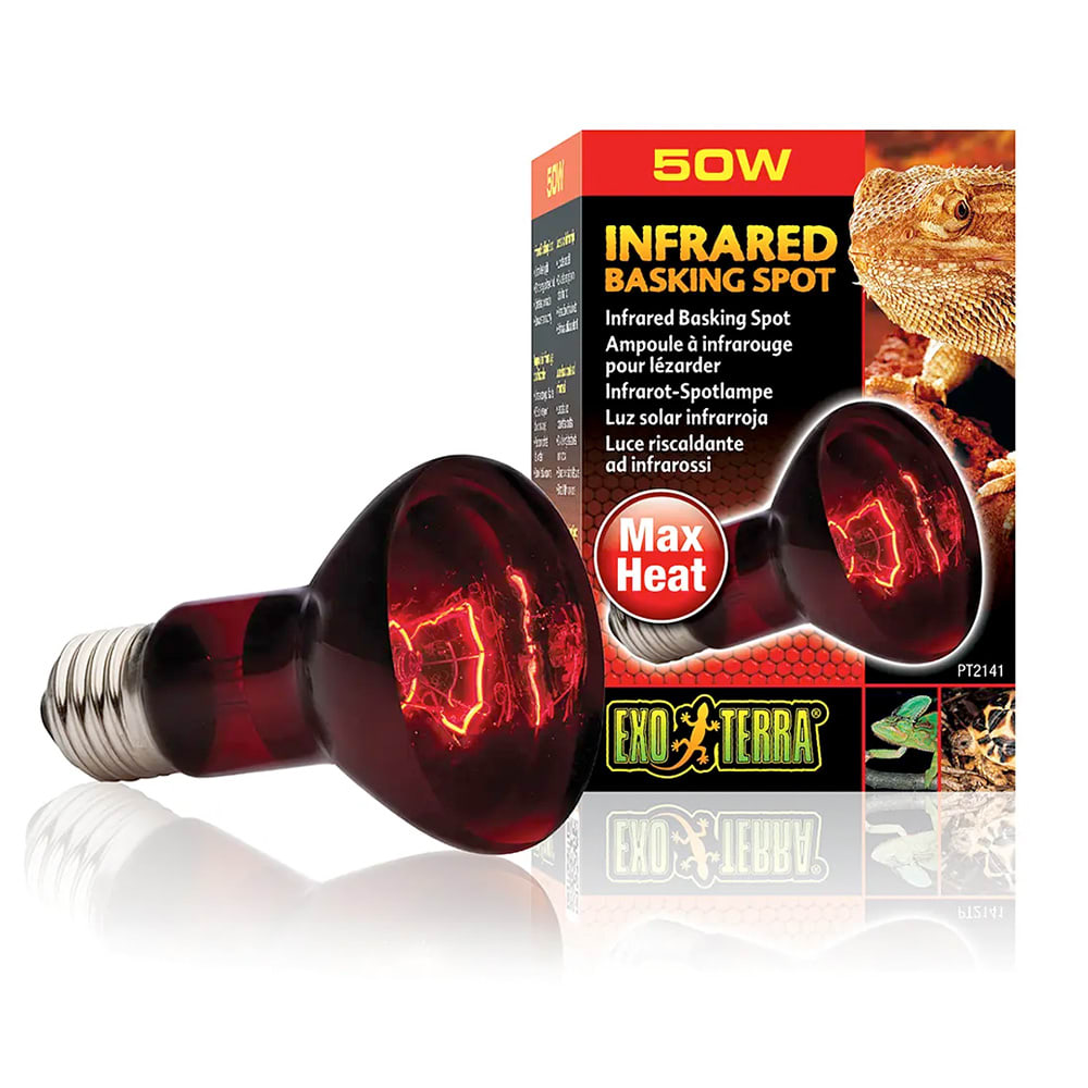 AMPOLLETA INFRARROJA 50W1