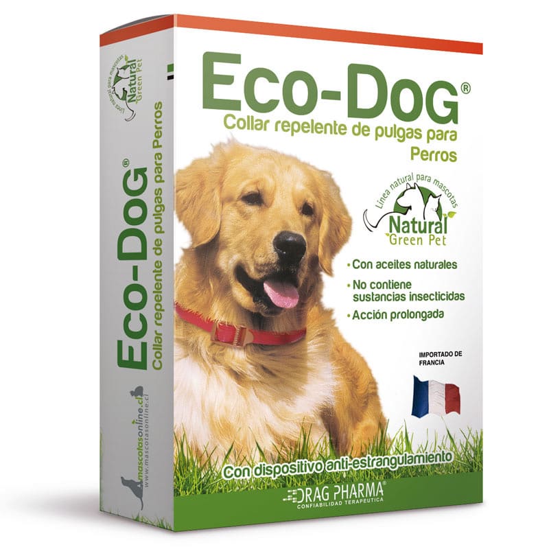Collar Eco Dog1