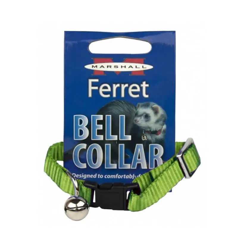 COLLAR CON CASCABEL HURON VERDE1