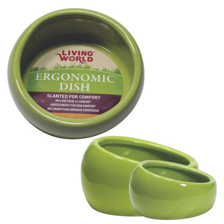 LIVING WORLD PLATO ERGONÓMICO VERDE L1