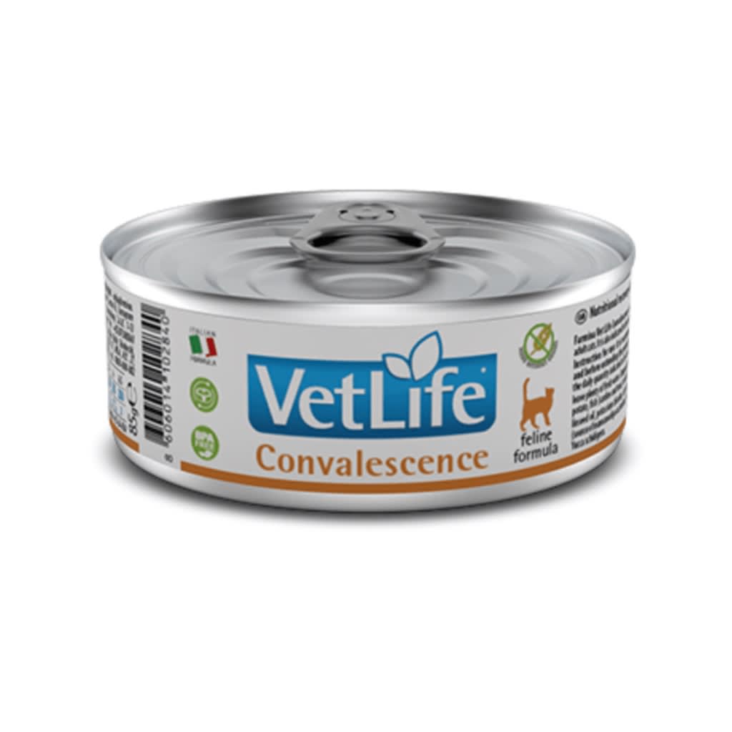 VET LIFE WF CAT CONVALESCENCE 85 grs1