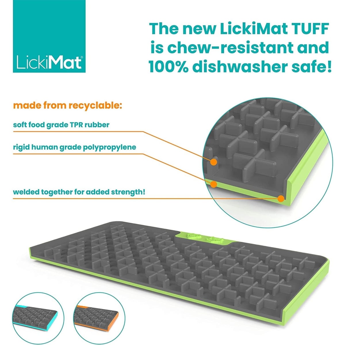 LM BUDDY TUFF TURQUOISE FOR DOG3