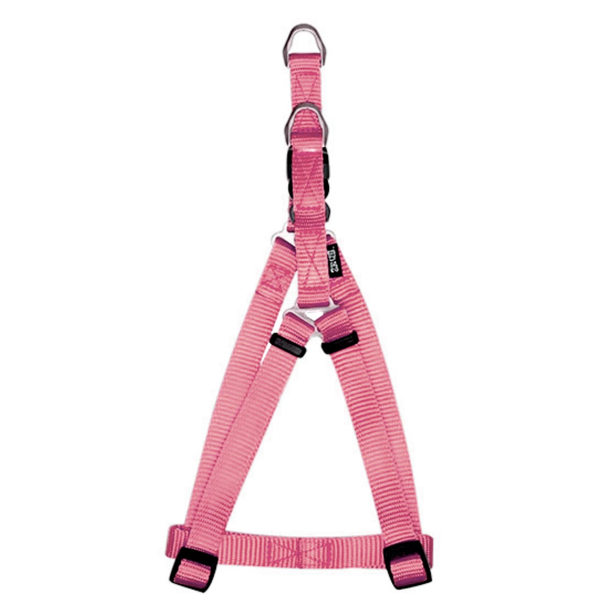 ZEUS ARNES FIG.A M CORAL1