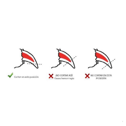 LE SALON ESSENTIALS CORTAUÑAS GILLOTINA3