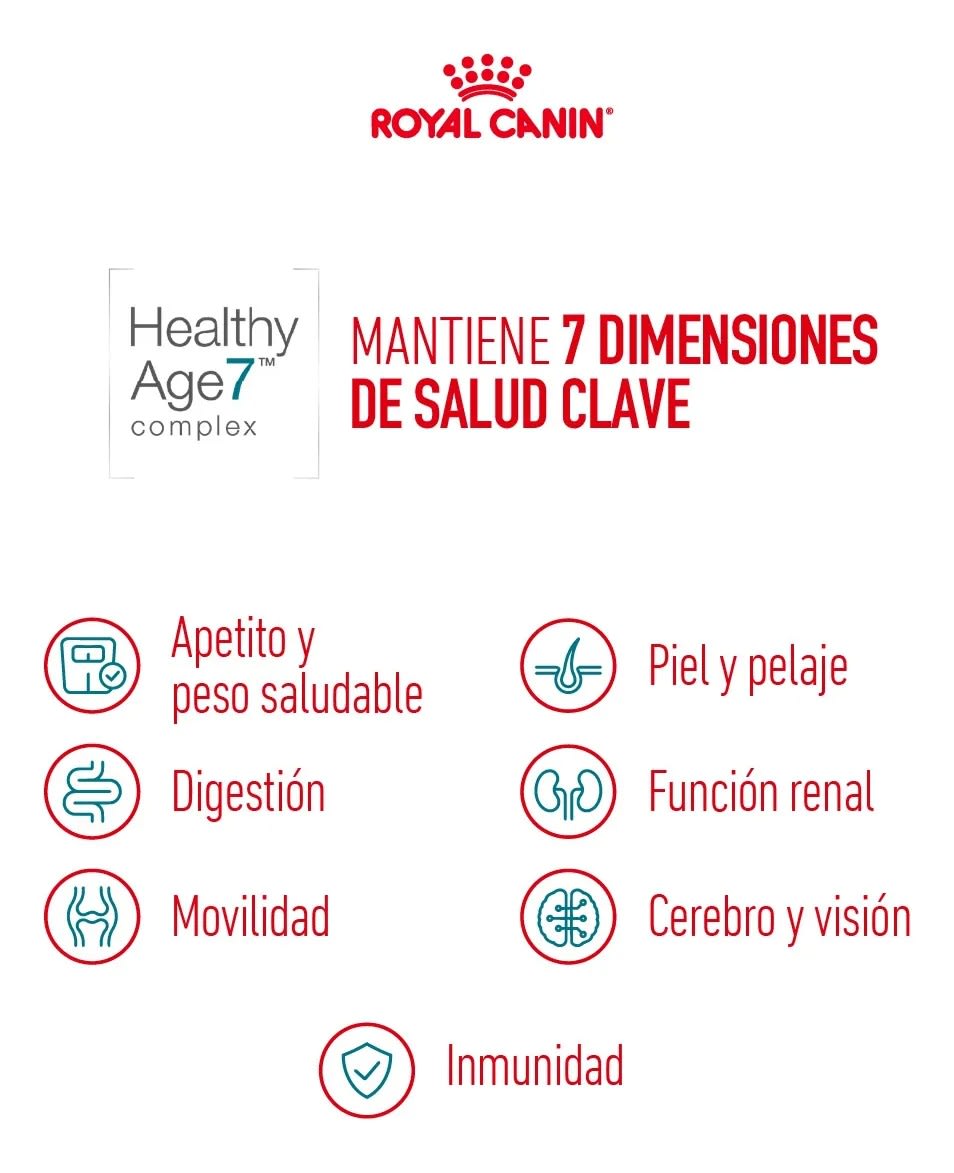 ROYAL CANIN GATO SENIOR AGEING 11+ 2KG5