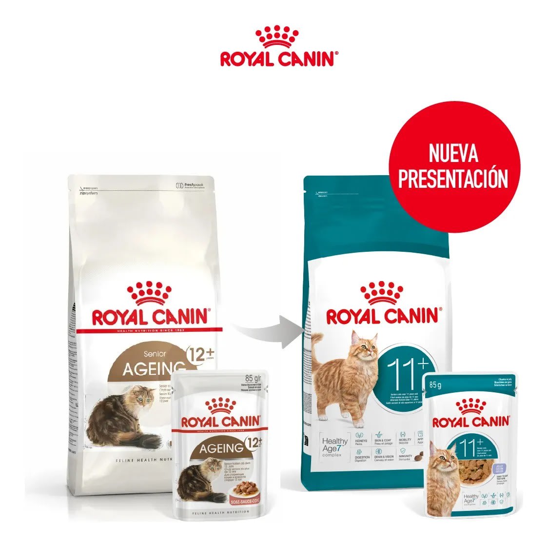ROYAL CANIN GATO SENIOR AGEING 11+ 2KG2