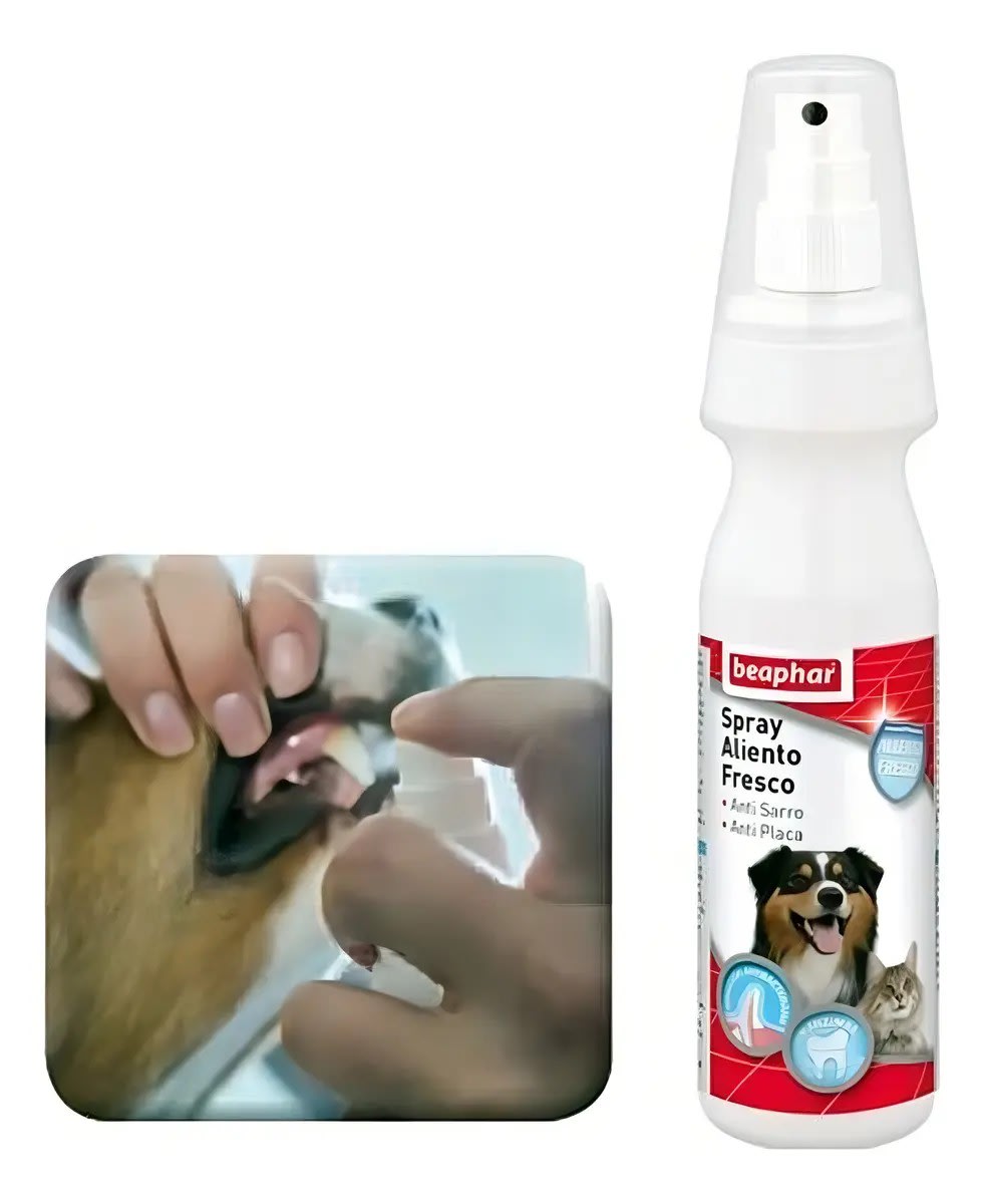 SPRAY ALIENTO FRESCO BEAPHAR 150 ML2