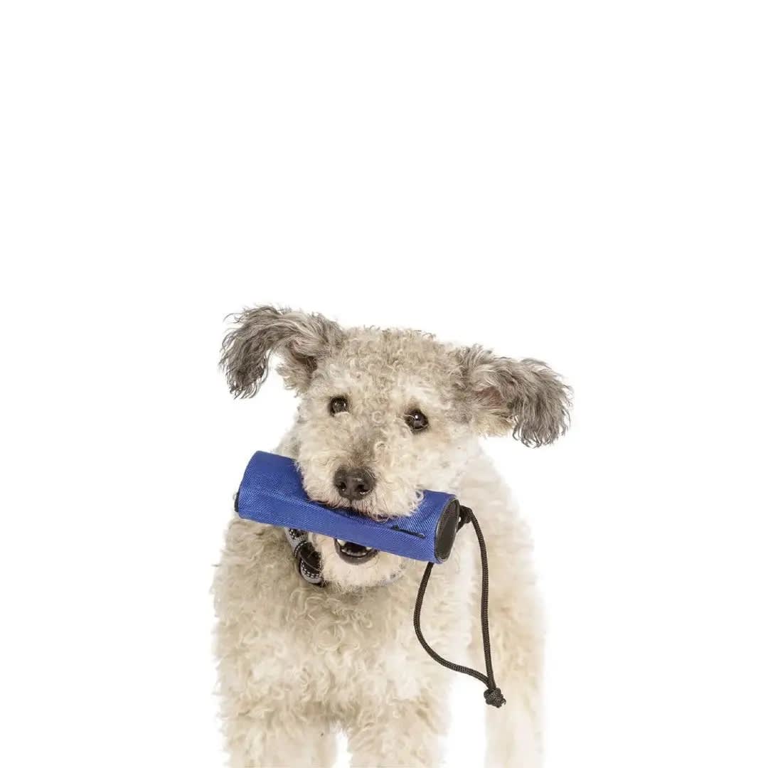 Coa Retriever - Juguete De Entrenamiento4