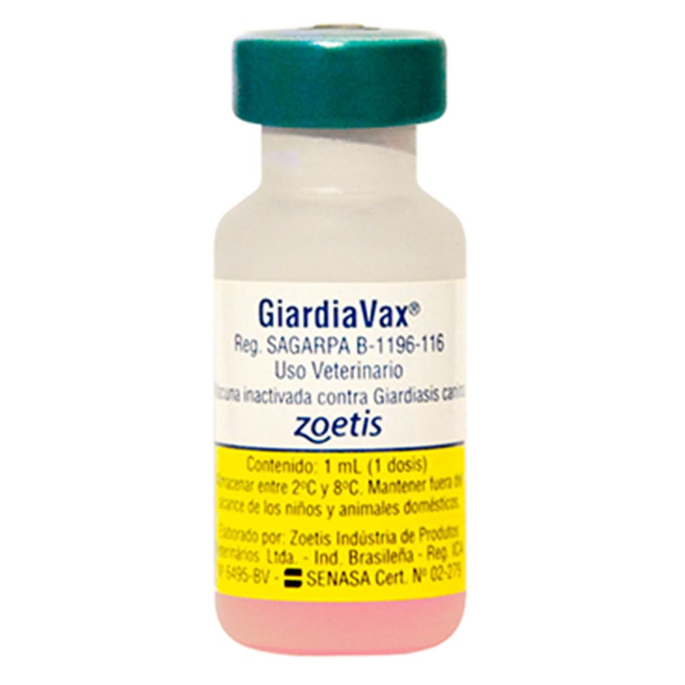 VANGUARD GIARDIA 1DS VLX11