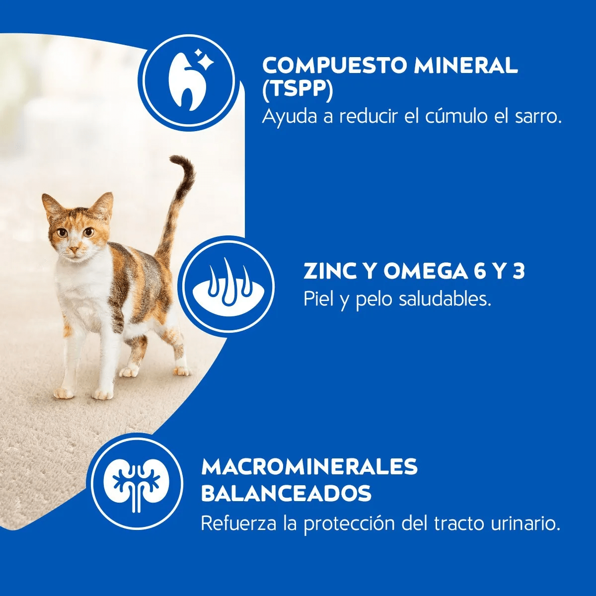 CAT CHOW DELIMIX 1 KG3