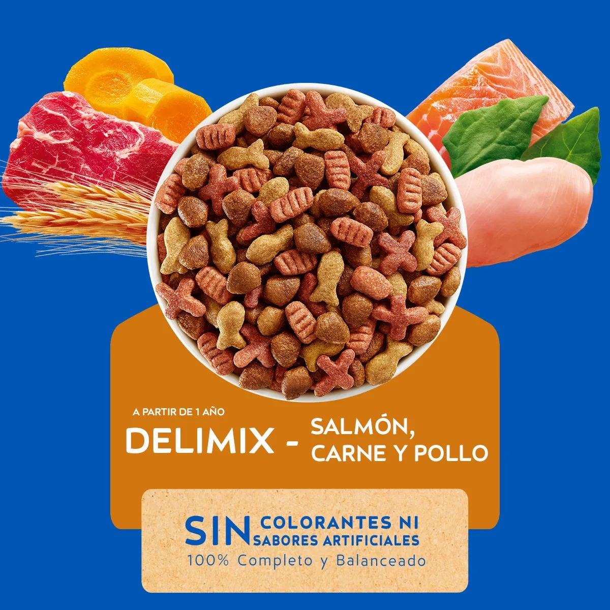 CAT CHOW DELIMIX 1 KG2