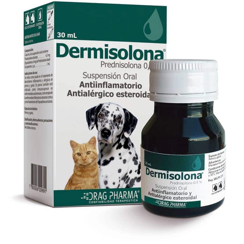 Dermisolona Suspension Prednisona Oral 0.4%1