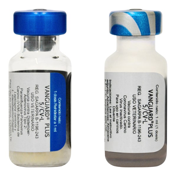 VANGUARD PLUS 5/CV-L - 1 DS1