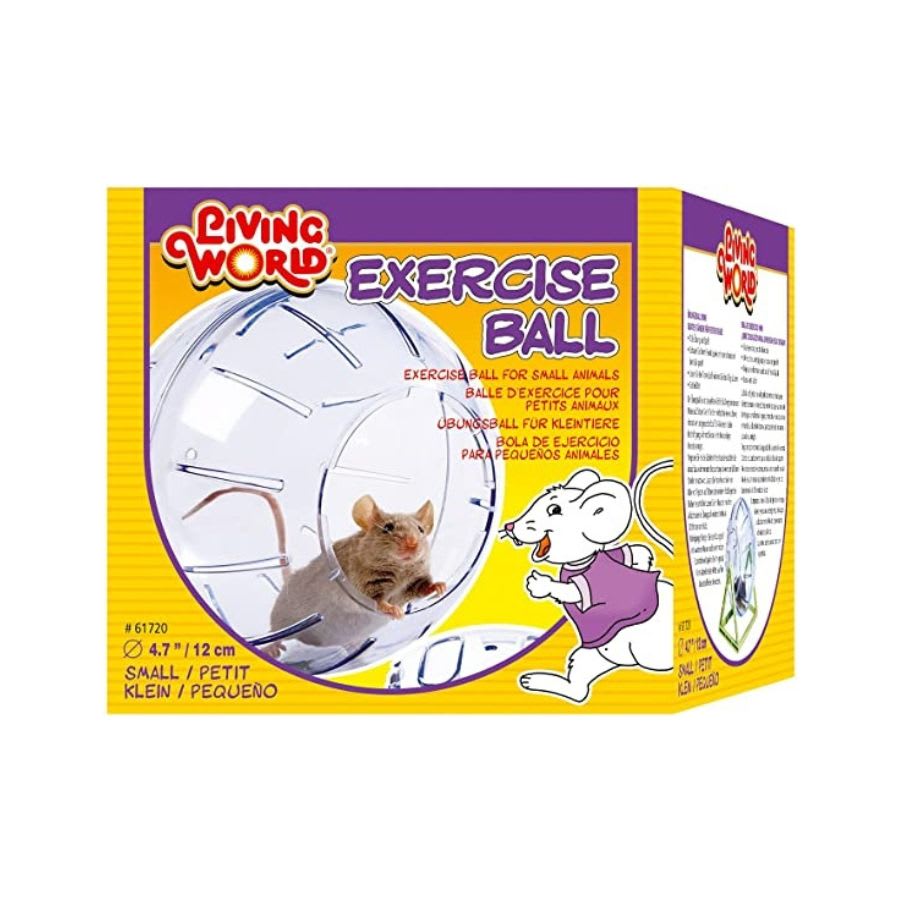 LIVING WORLD BOLA DE EJERCICIO CON BASE MEDIANO2