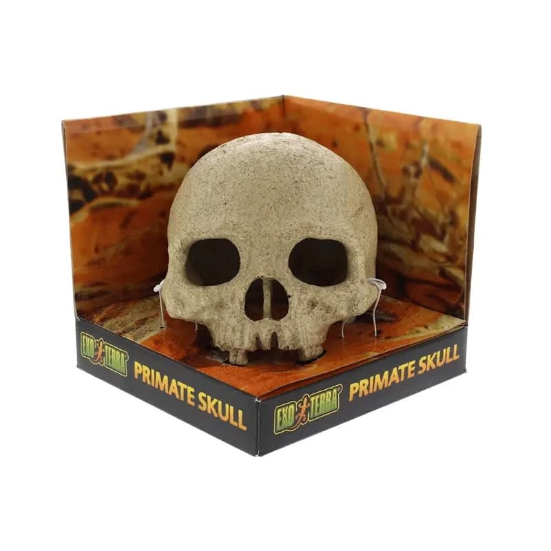 EXO TERRA DECO REFUGIO CALAVERA1