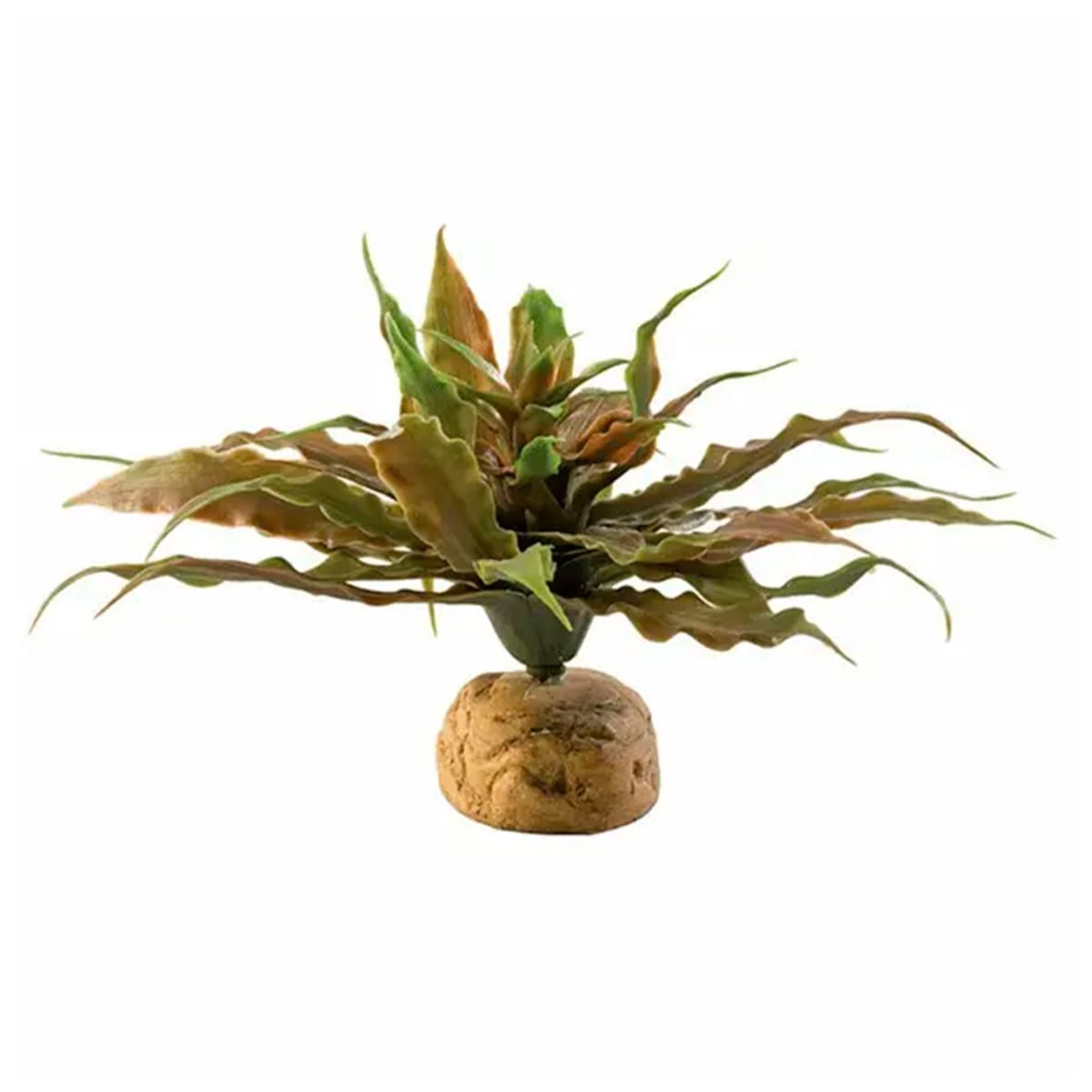 EXO TERRA DECO CACTUS ESTRELLA1