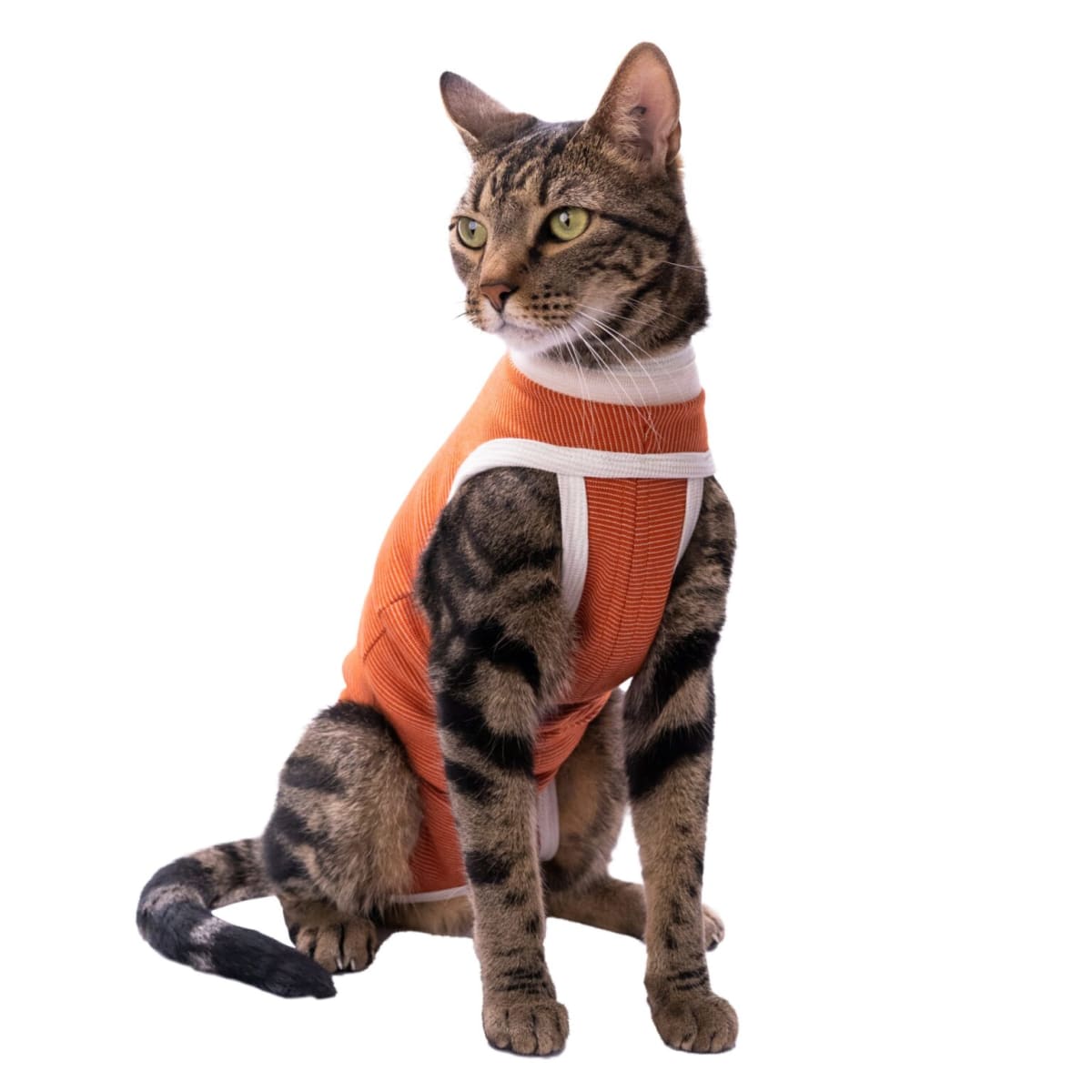 VET BODY COBRE TRADICIONAL TALLA 21