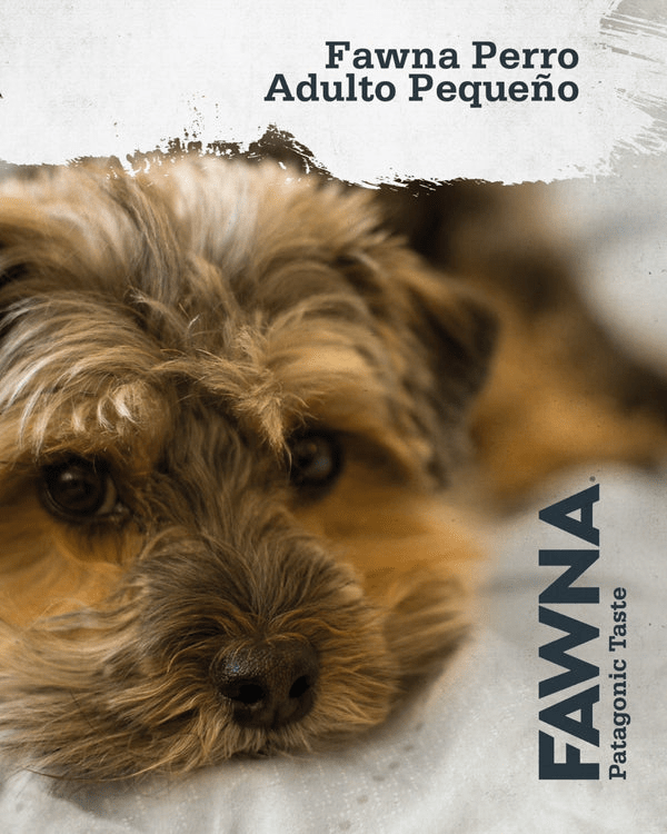 FAWNA PERRO ADULTO RAZA PEQUEÑA 7.5 KG4