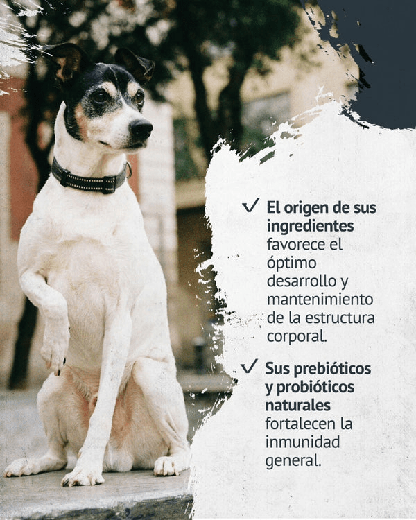 FAWNA PERRO ADULTO RAZA PEQUEÑA 7.5 KG5