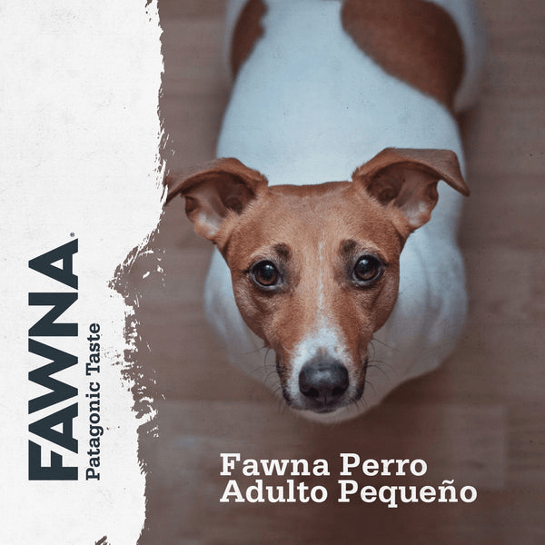 FAWNA PERRO ADULTO RAZA PEQUEÑA 7.5 KG3