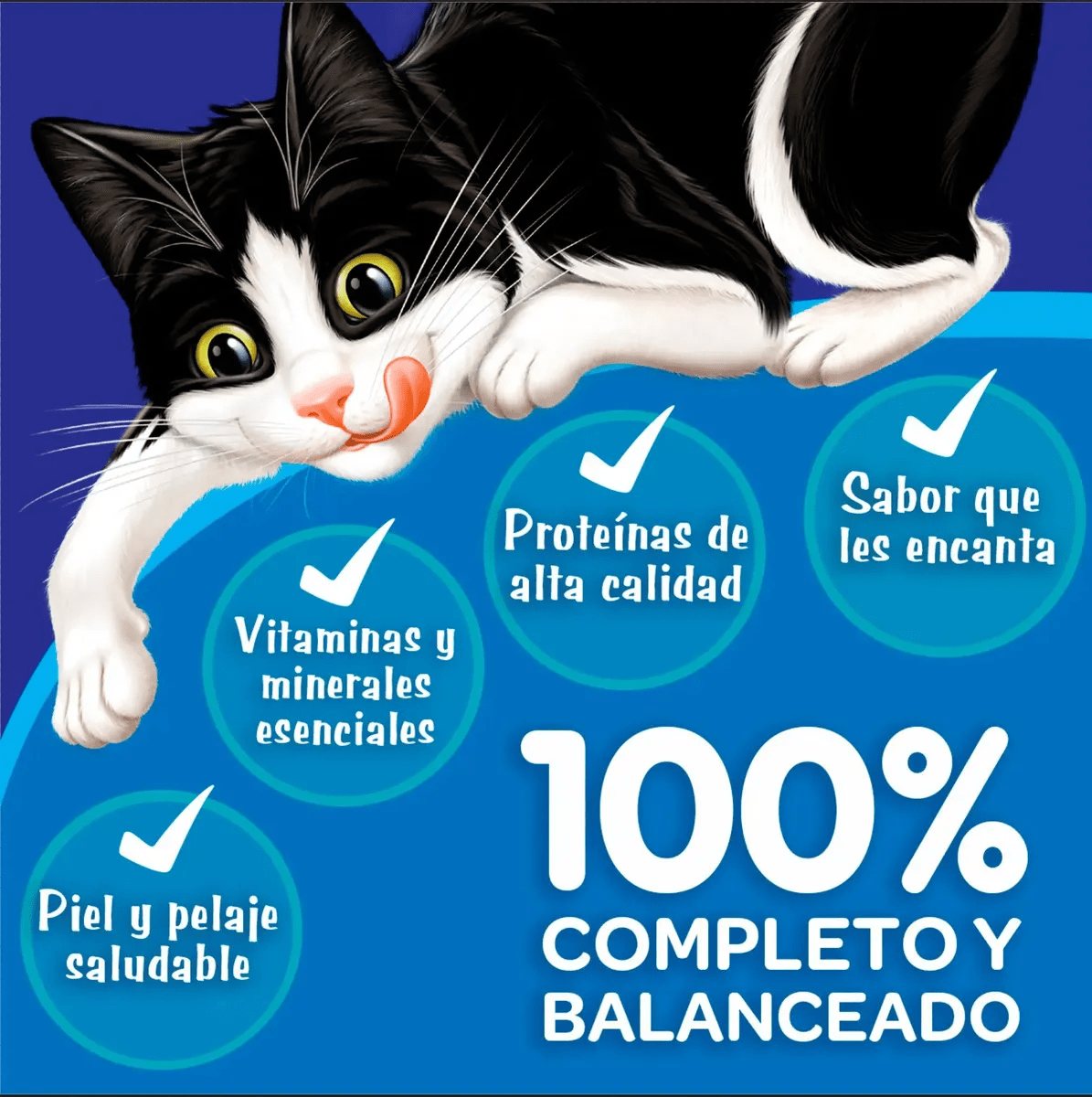 FELIX GATO ADULTO MEGAMIX 8 KG5