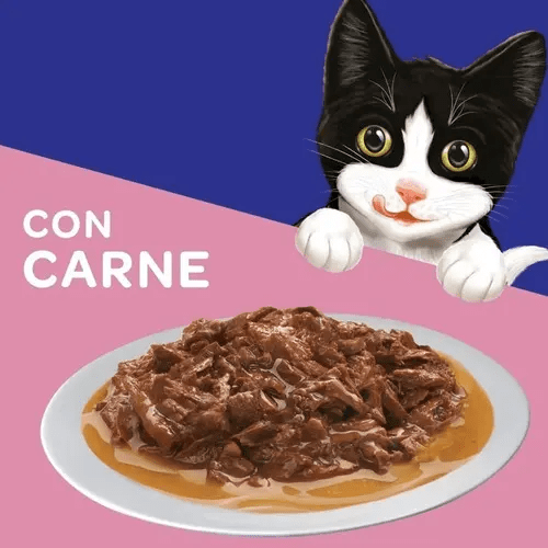 CAJA FELIX GATITO CARNE X15 UN 85 GR4