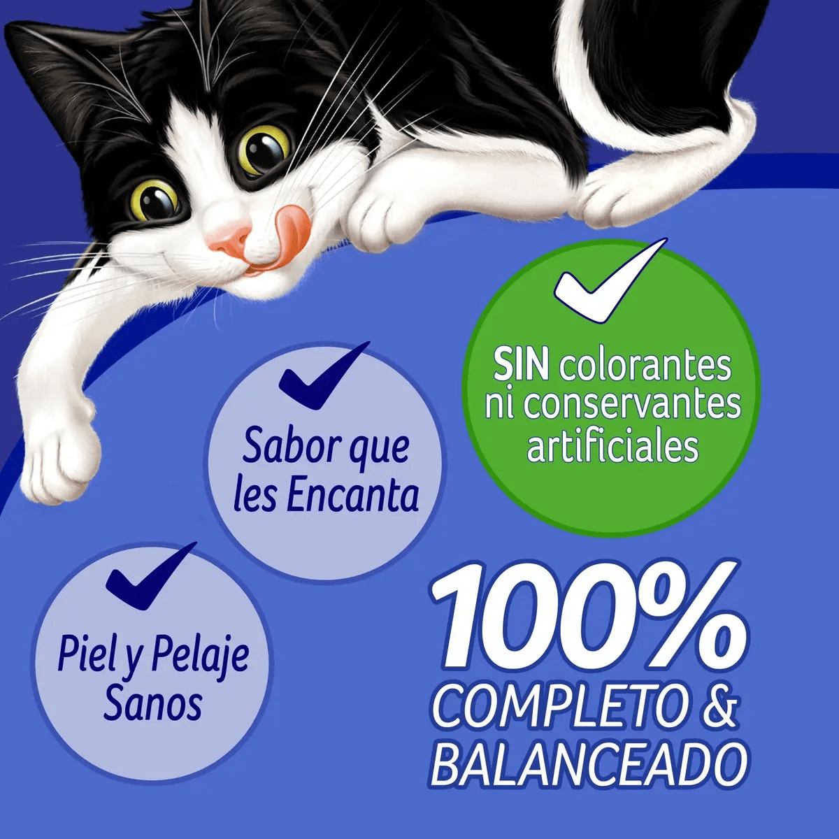 CAJA SACHET FELIX PAVO 24 UN X 85 GR3