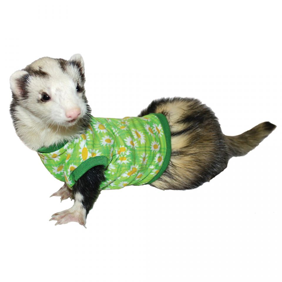 POLERA HURON DISEÑOS1