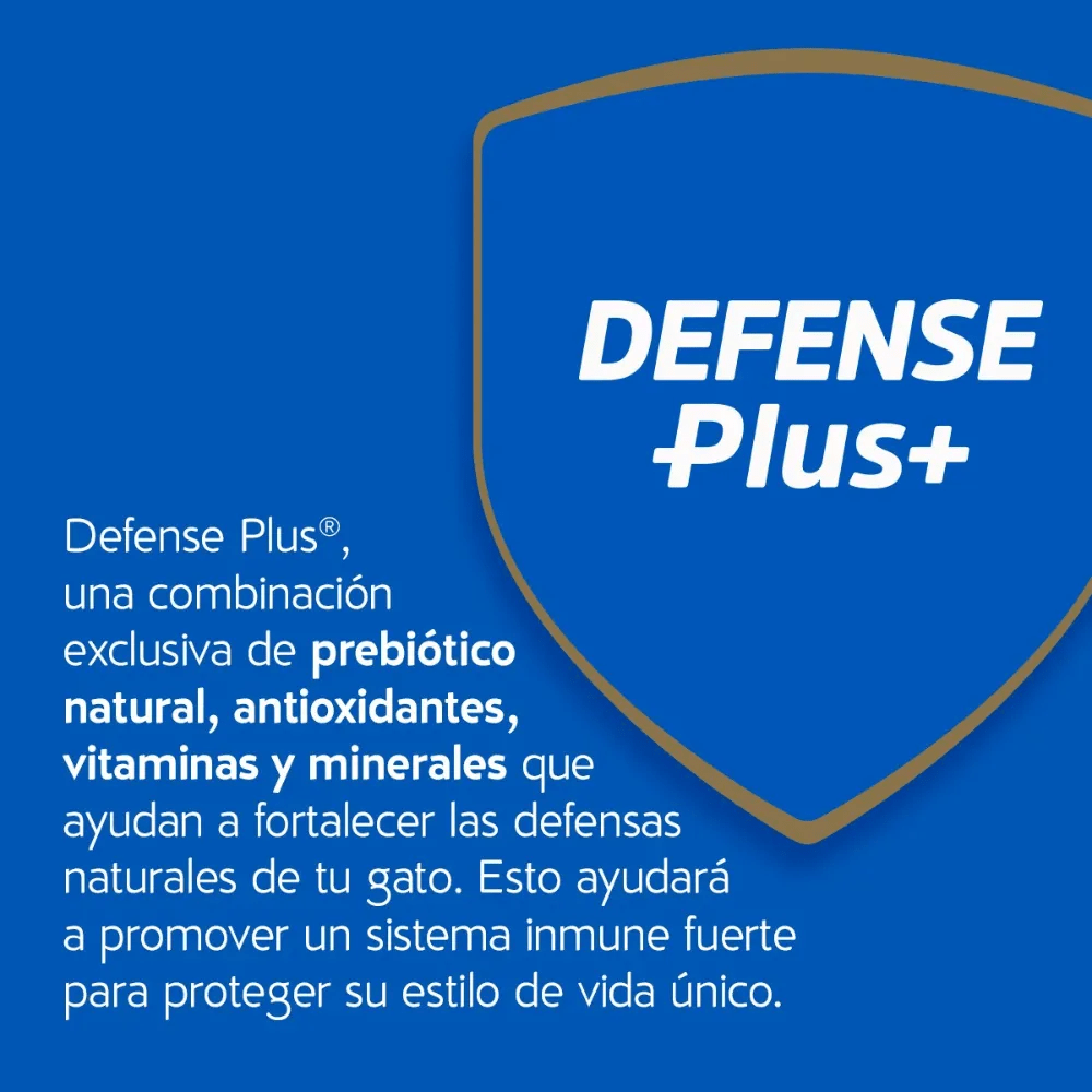 CAT CHOW GATITOS 19.5 KG3